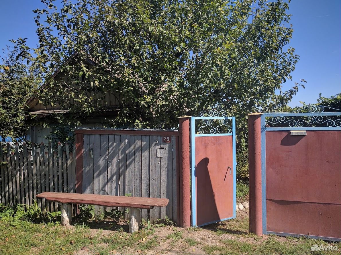 Лозовое около тамбовки. Воронежская область село лозовое погода. Село лозовое амурская область. Лозовое воронежская область. Воронежская область село лозовое погода.