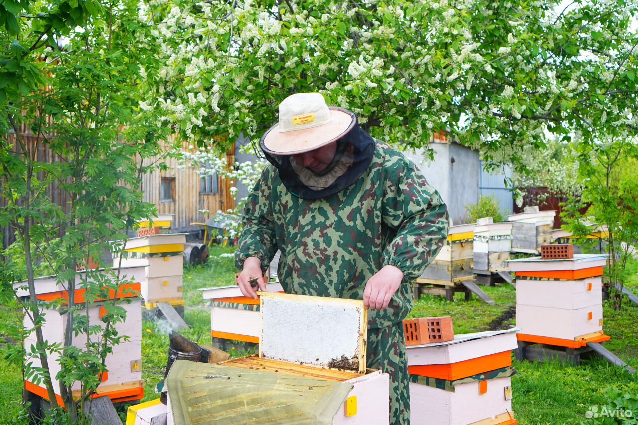 Пчеловод интернет магазин москва. Пасека интернет магазин. Пчеловод магазин интернет.