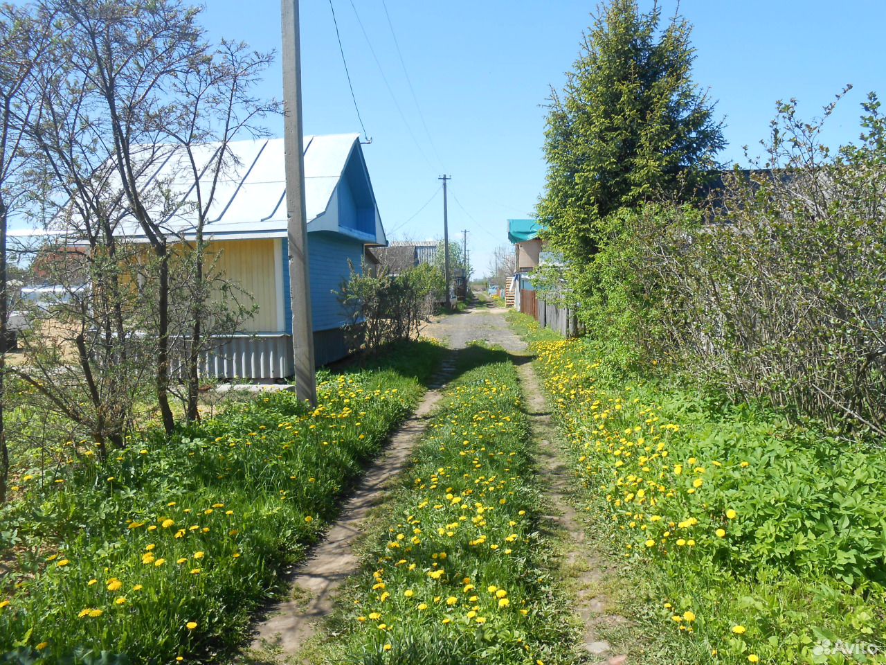 Купить Дачу Вологда Дешево