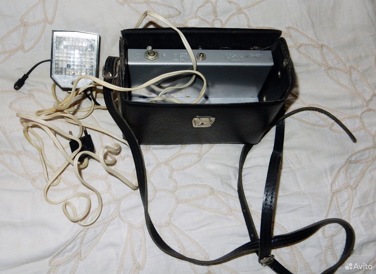 фотовспышка чайка