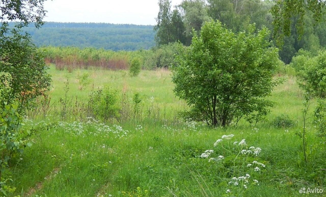 Иваньково тульская область. Иваньково Тульская область Ясногорский район ул. Лесная. Деревня Климовское Иваньково. Белевский район д. Иваньково. Аэродром Иваньково Тульская область.