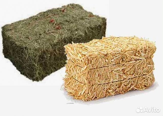 Что лучше солома или сено. Солома пшеничная тюк (20 кг). Яровая солома. Сено от соломы. Сено и солома разница.