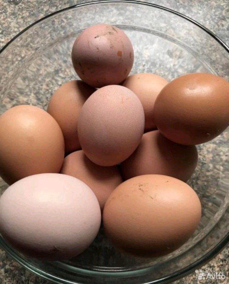 Яйца деревенские купить на Зозу.ру - фотография № 2