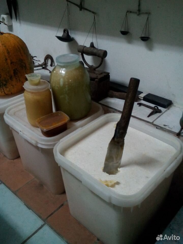 Мёд лесной,разнотравье купить на Зозу.ру - фотография № 1