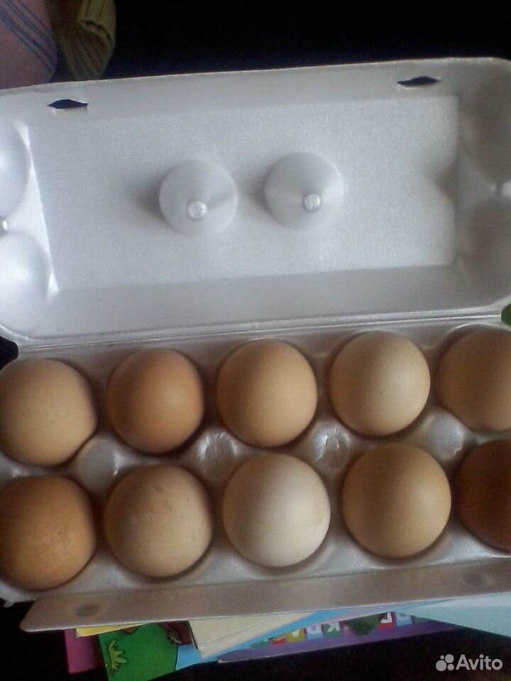Яйцо деревенское куриное купить на Зозу.ру - фотография № 1