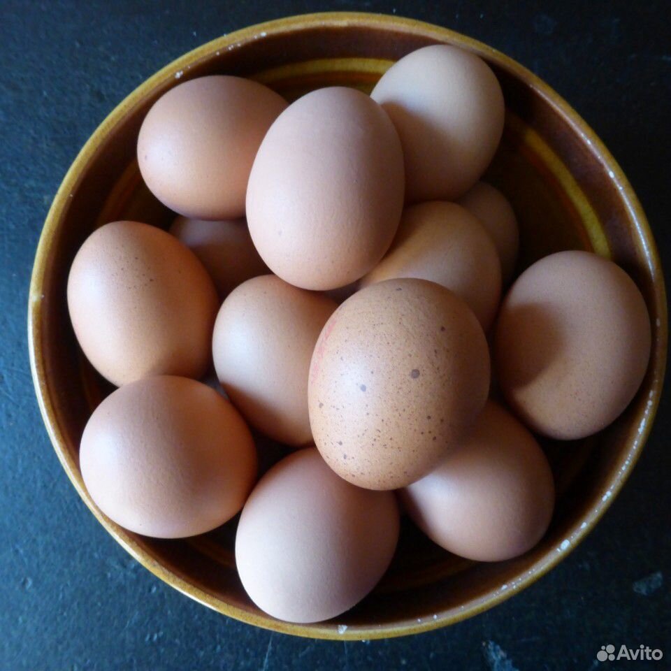 Яйца от домашних кур купить на Зозу.ру - фотография № 1