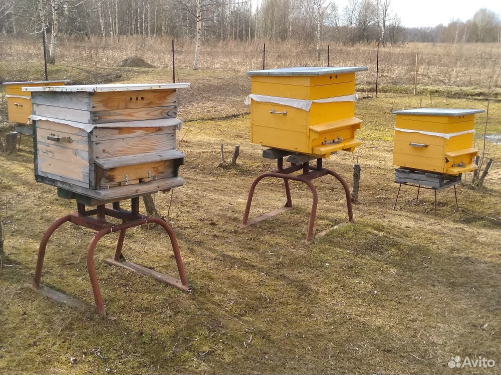 Домики, пчелы, ульи купить на Зозу.ру - фотография № 3