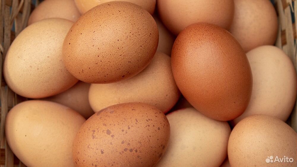 Продается яйцо куриное купить на Зозу.ру - фотография № 1
