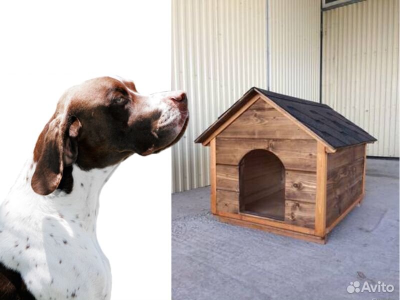 Будка для собак с деревянными полами 2х2 купить на Зозу.ру - фотография № 1