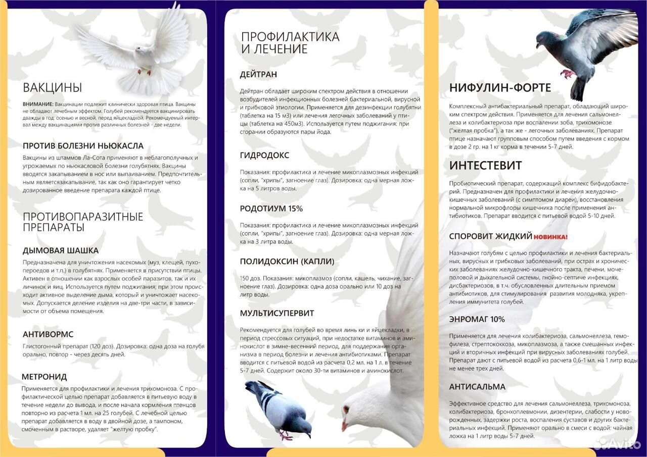 Лекарства для голубей купить на Зозу.ру - фотография № 1