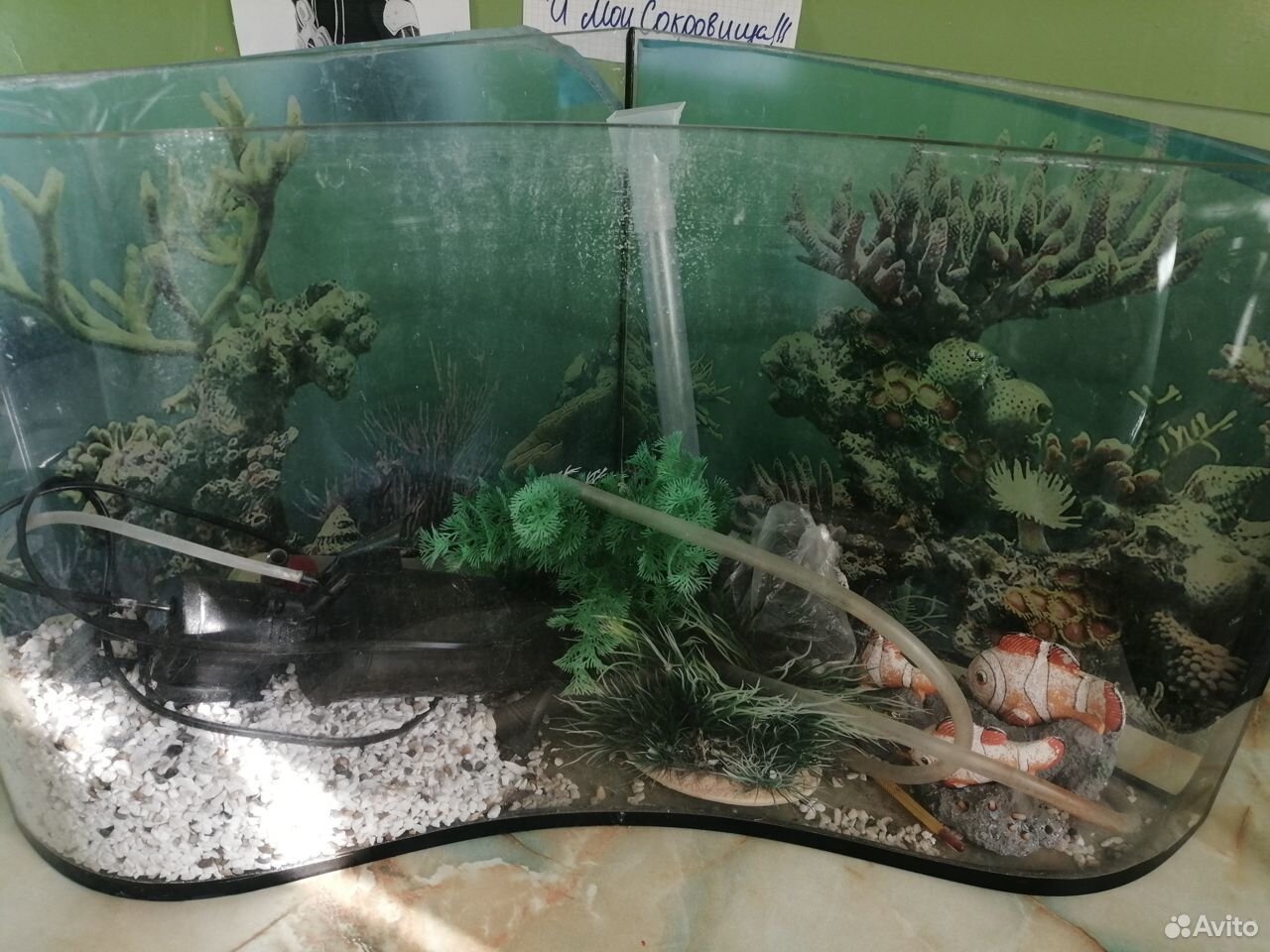 Продаётся угловой аквариум купить на Зозу.ру - фотография № 1