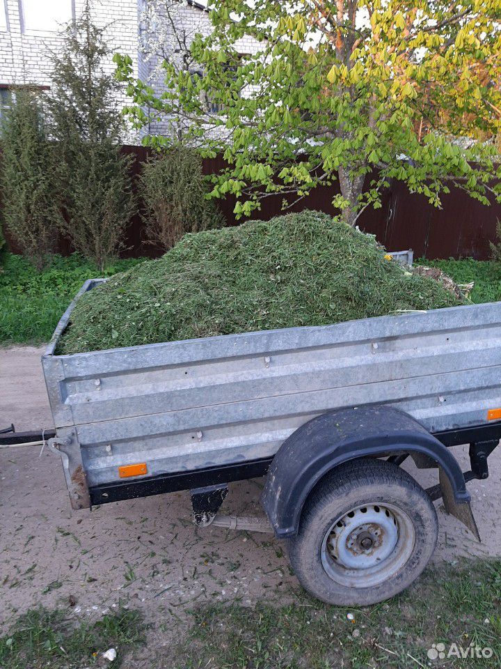Скошеная трава купить на Зозу.ру - фотография № 4