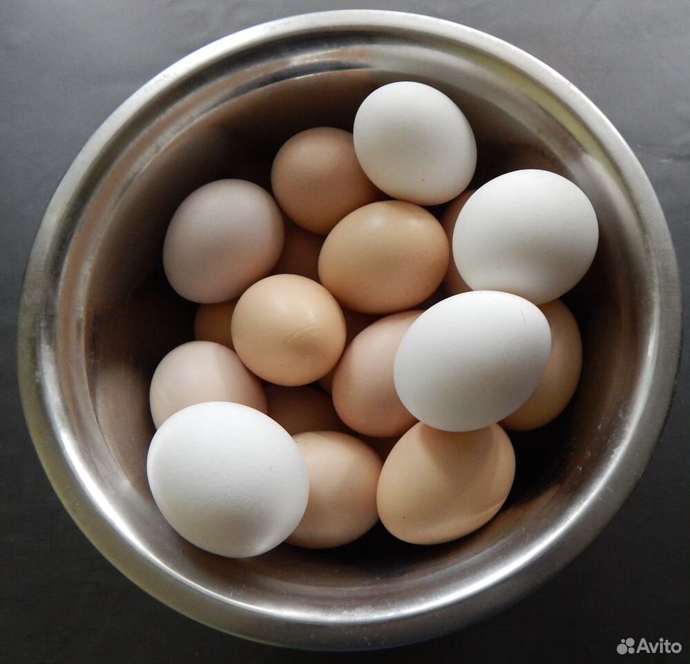 Яйцо домашнее инкубационно-пищевое купить на Зозу.ру - фотография № 2
