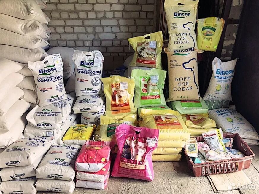 Продам зерно: пшеницу, кукурузу, ячмень, крупы купить на Зозу.ру - фотография № 1