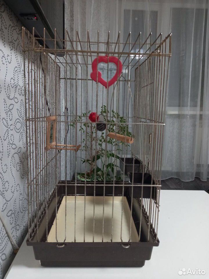 Клетка большая для попугая купить на Зозу.ру - фотография № 2