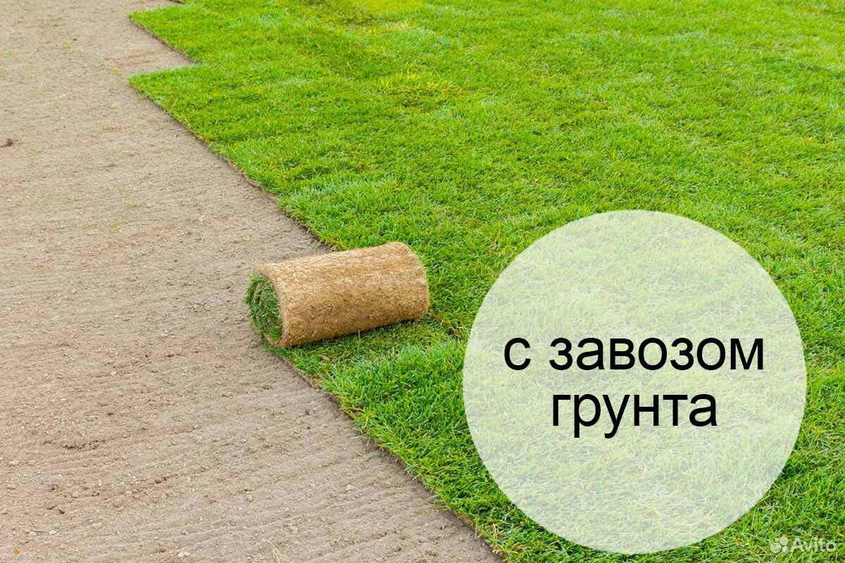 Эталон рулонный газон сезон 2020 мо купить на Зозу.ру - фотография № 1