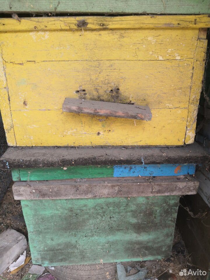 Улики для пчёл, а также соты купить на Зозу.ру - фотография № 2