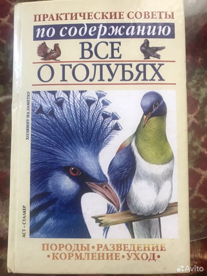 Всё о голубях купить на Зозу.ру - фотография № 1