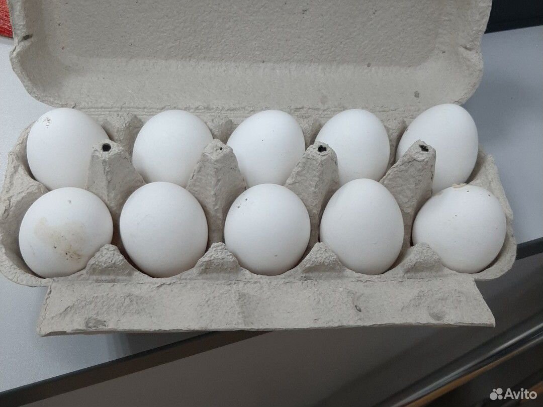 Яйцо куринное купить на Зозу.ру - фотография № 1