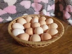 Яйцо куриное столовое