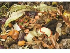Пищевые отходы на корм животным