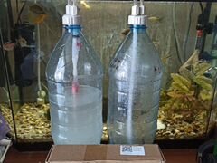 Генератор CO2 для аквариума