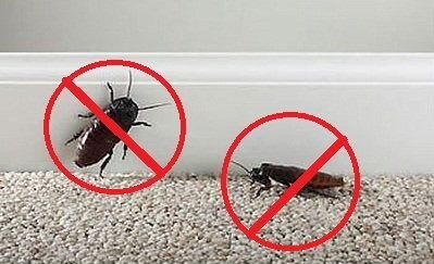 Средство от тараканов, клопов, муравьев и т.д