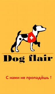 DOG flair Дрессировка собак Электросталь/Ногинск