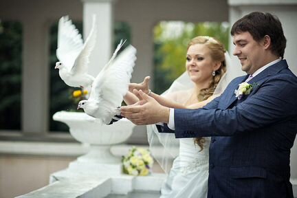 Выпуск голубей на свадьбы,прпздники