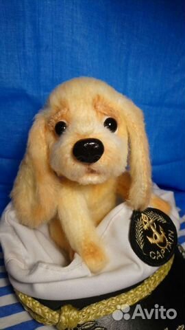 Спаниелька