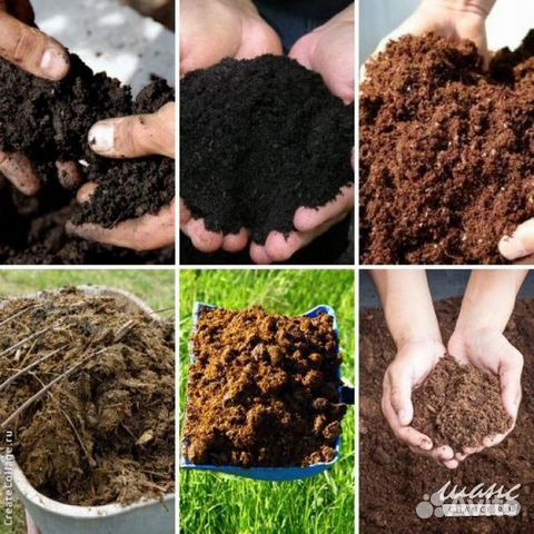 Торф Навоз Куриный Помет