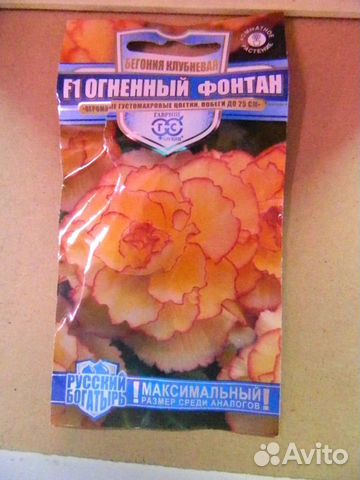 Семена глоксинии, колеусов