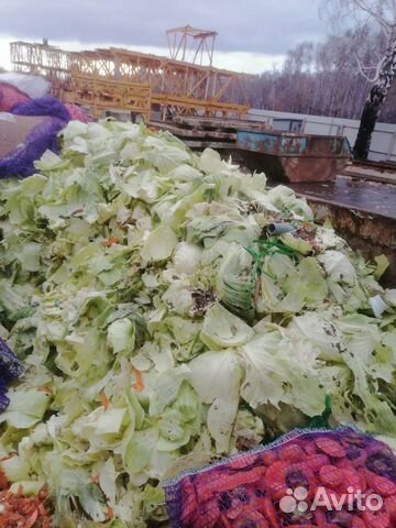 Пищевые отходы