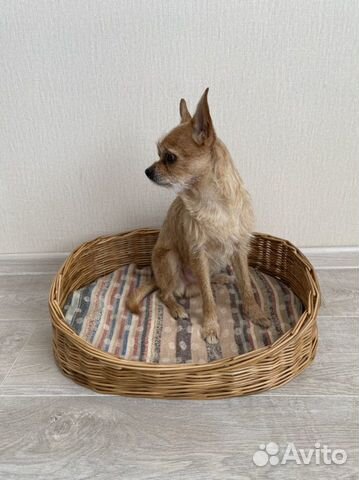 Лежанка для животных