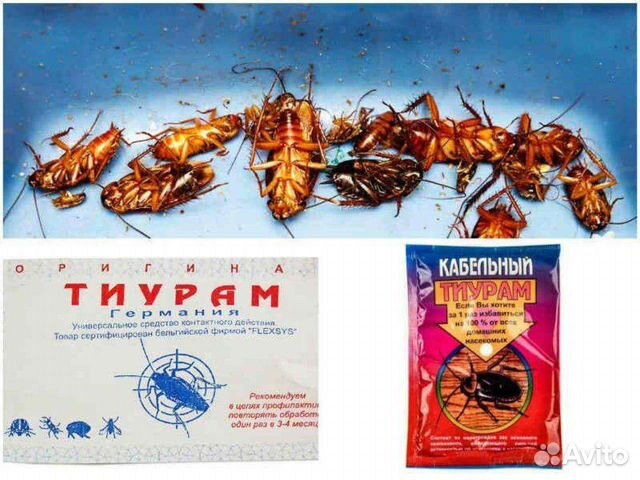 Средство от тараканов тиурам