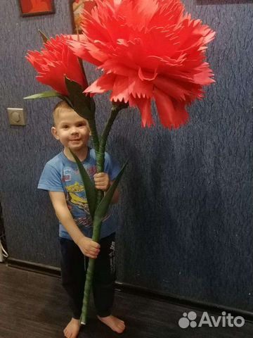 Ростовые цветы, аренда и продажа