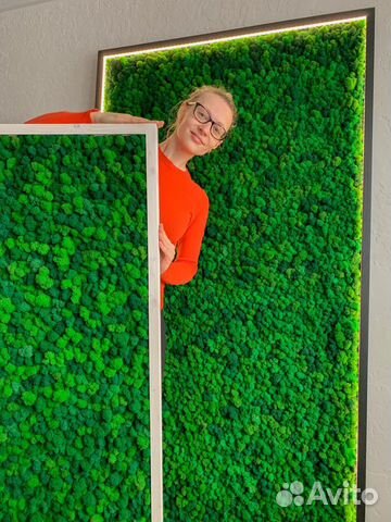 Панели панно фитостены мох стабилизированный