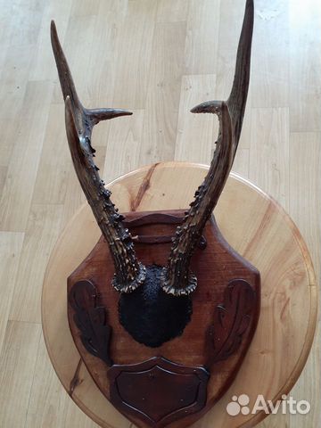 Рога на медальоне