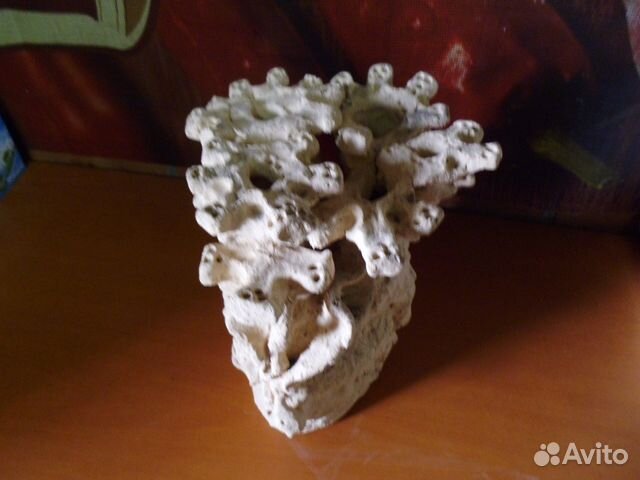 Продам искусственный коралл купить на Зозу.ру - фотография № 3