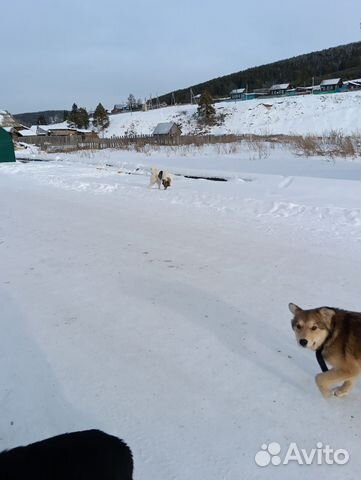 

4-к. дом, 70 м²