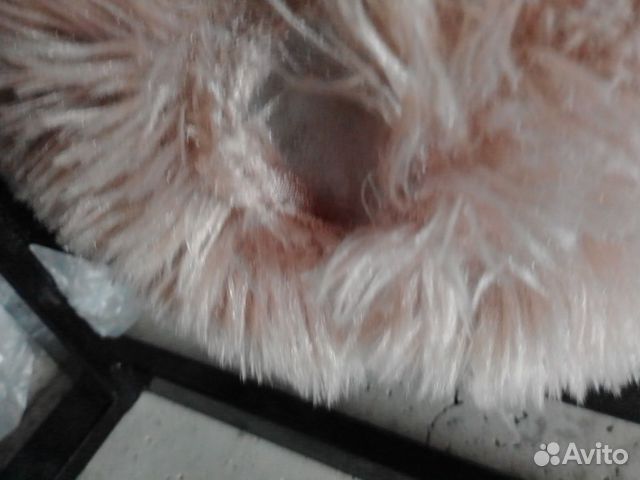 Мишка Тедди Мишка Тедди