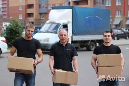 Услуги грузчиков Вологда Услуги грузчиков Вологда