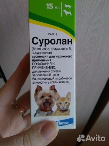 Эффективное средство для собак и котов купить на Зозу.ру - фотография № 1