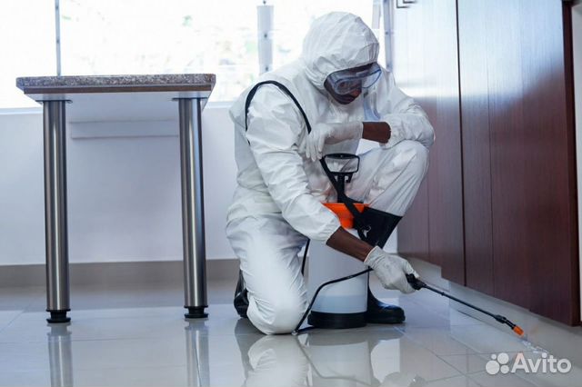 Травлю тараканов,клопов в квартире,доме