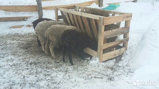 Кормушка для овец,коз купить на Зозу.ру - фотография № 1