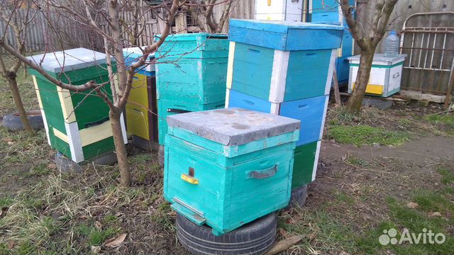Улья для пчёл купить на Зозу.ру - фотография № 4