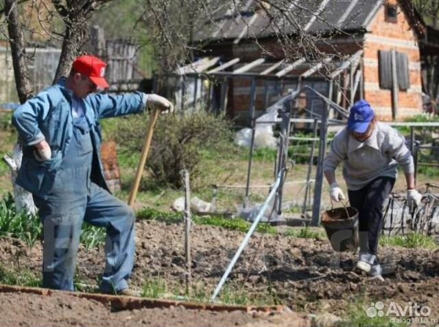 Вывоз строй мусора, веток, гаражного хлама,мебели Вывоз строй мусора, веток, гаражного хлама,мебели