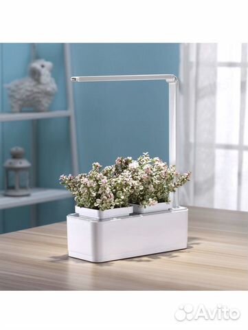 IGarden(умный сад) IGarden(умный сад)