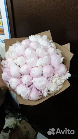 Букет, цветы, 101 роза, 51 роза, 25 роз, пионы Букет, цветы, 101 роза, 51 роза, 25 роз, пионы