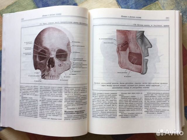 Атлас анатомии человека Атлас анатомии человека
